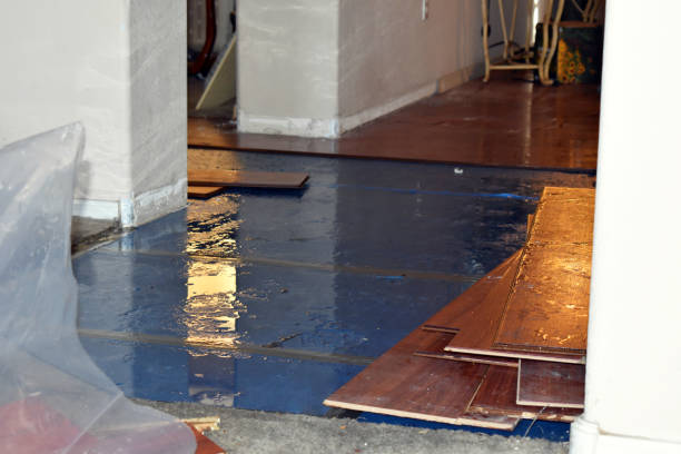 Professional Water Damage Restoration technician working in Dennysville, ME
